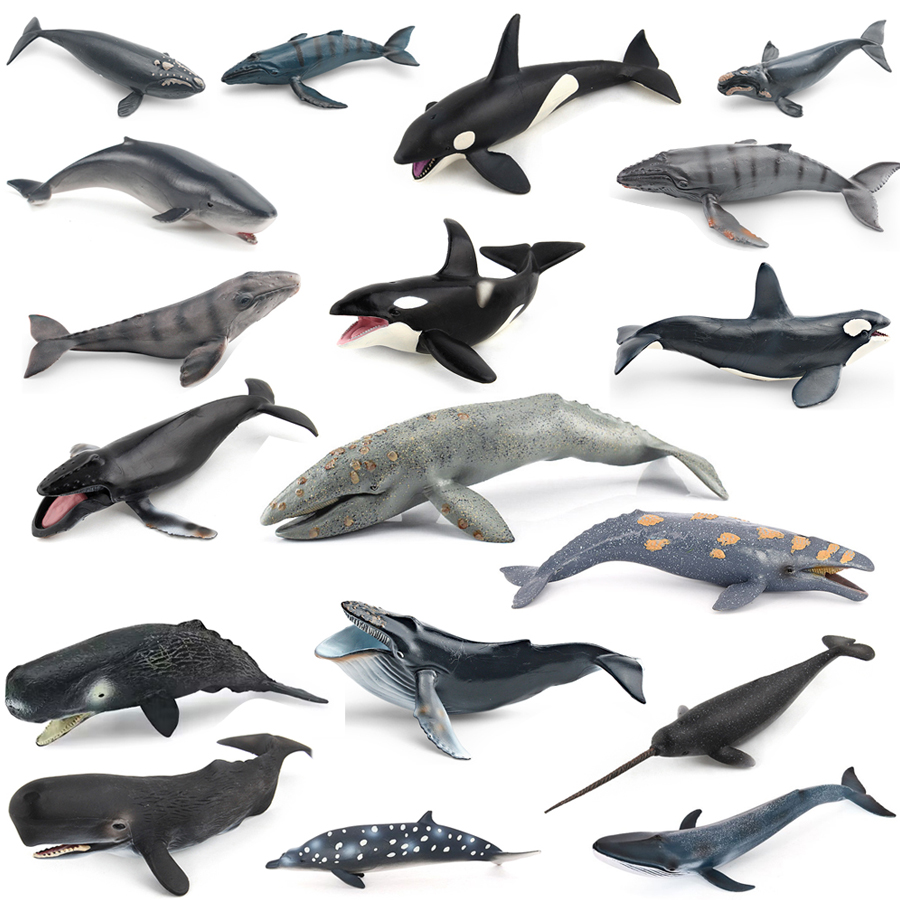 Kids Toys Under 100 - Modelos Realistas de Animais Marinhos: Baleia-Cavaleiro,