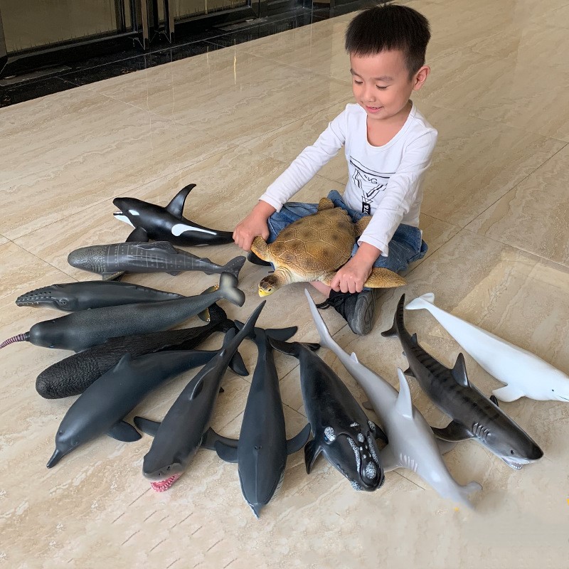 Kids Toys Under 100 - Gigante oceano sealife animais modelo bule