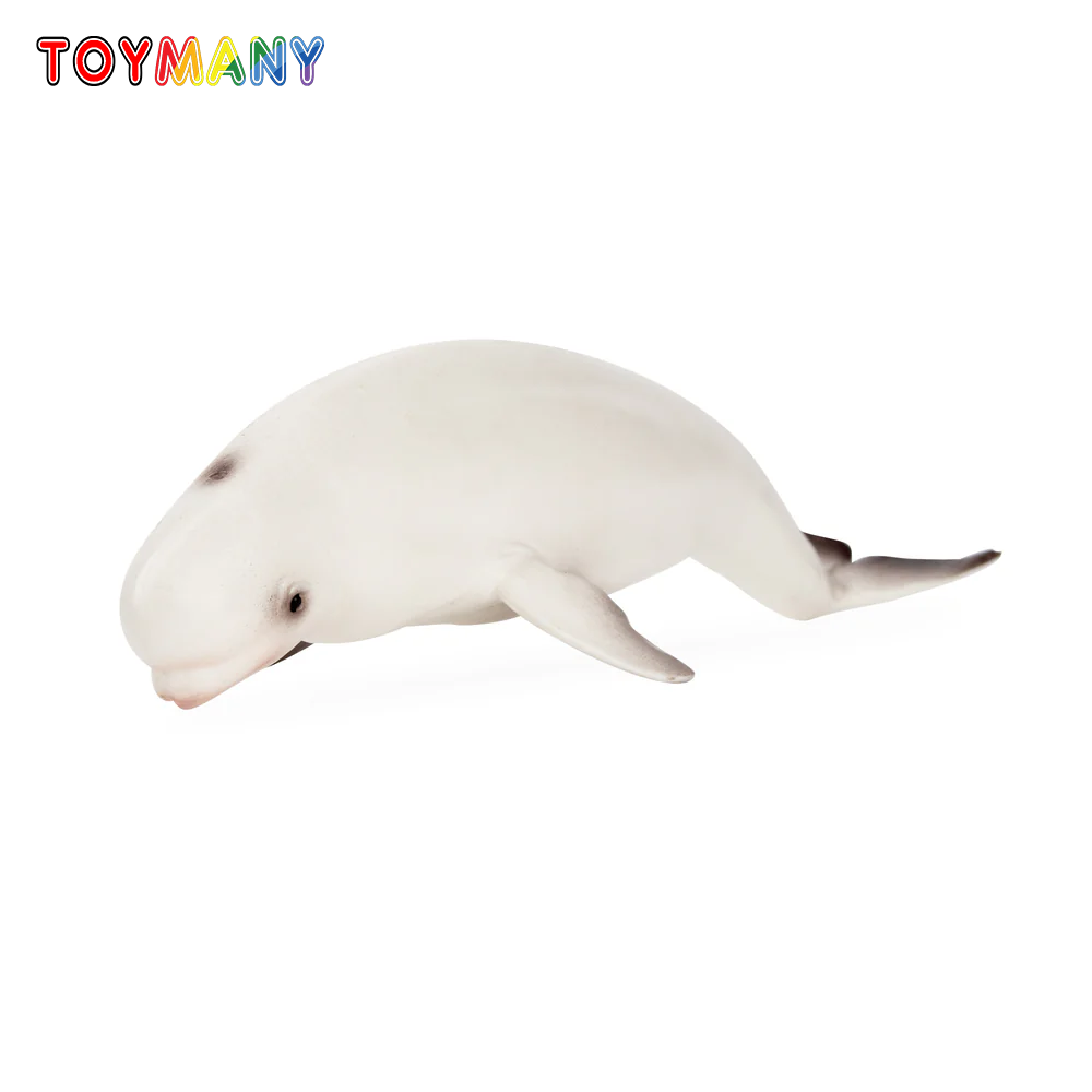 Toymany simulação beluga balei - Kids Toys Variety avaliação e preço
