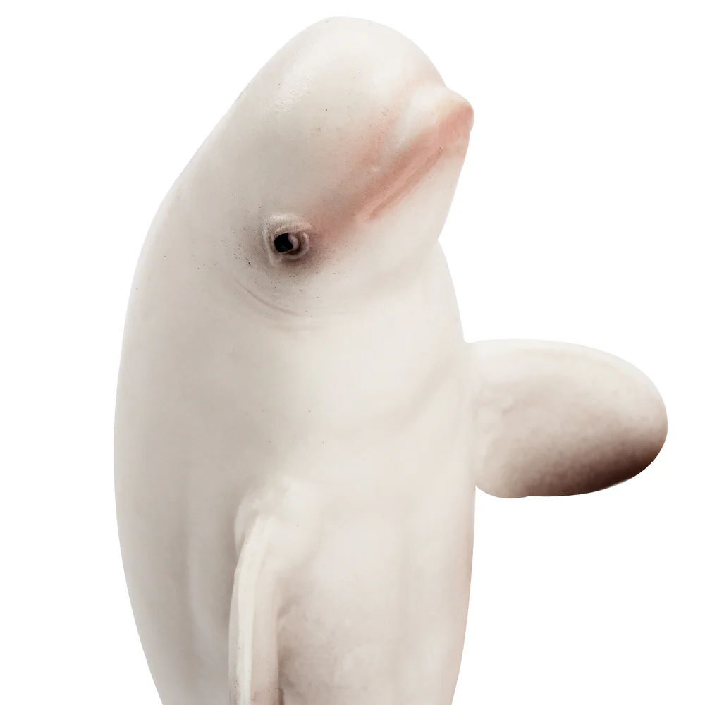 Toymany simulação beluga balei - Kids Toys Variety avaliação e preço
