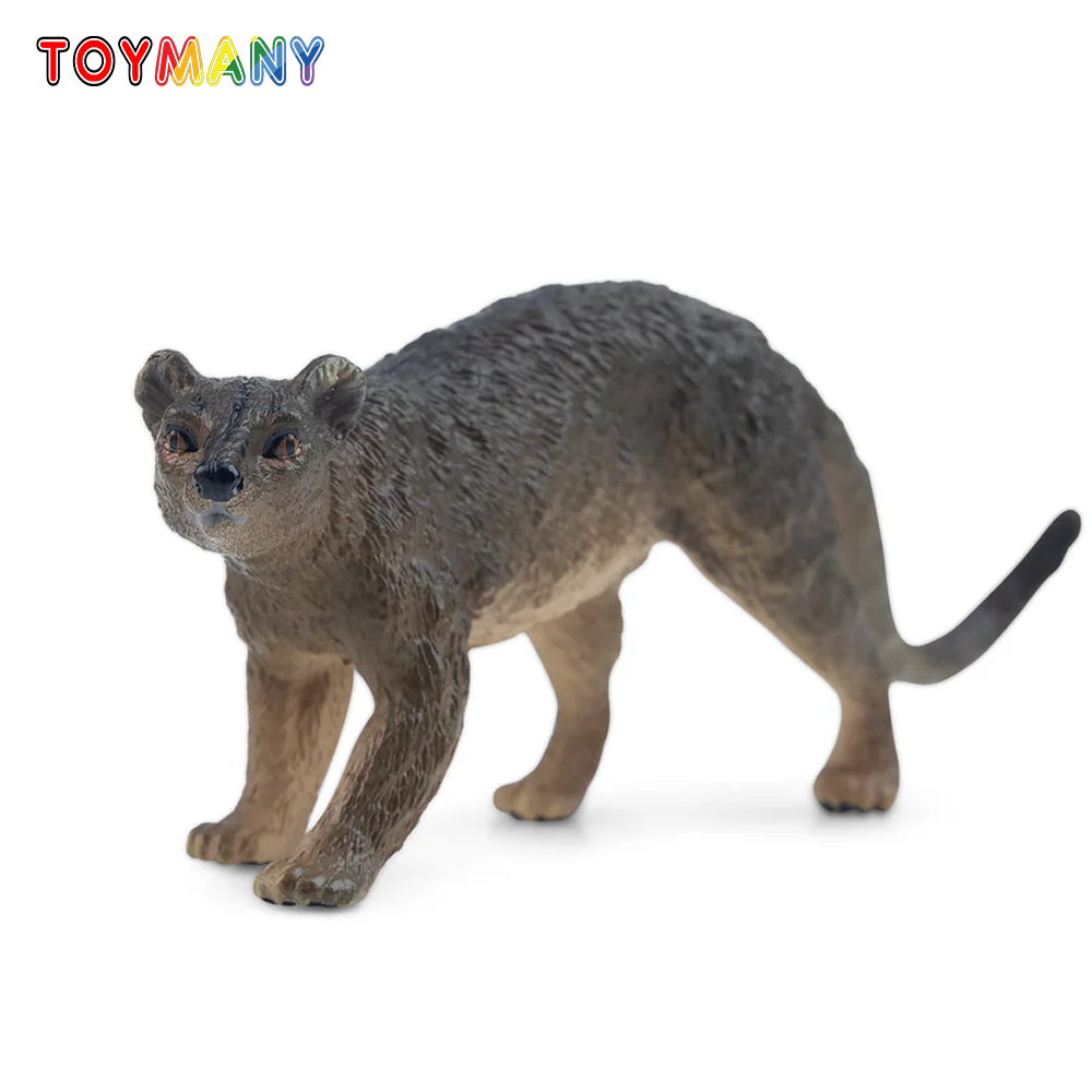 Toymany simulação fossa madaga - Kids Toys Variety avaliação e preço