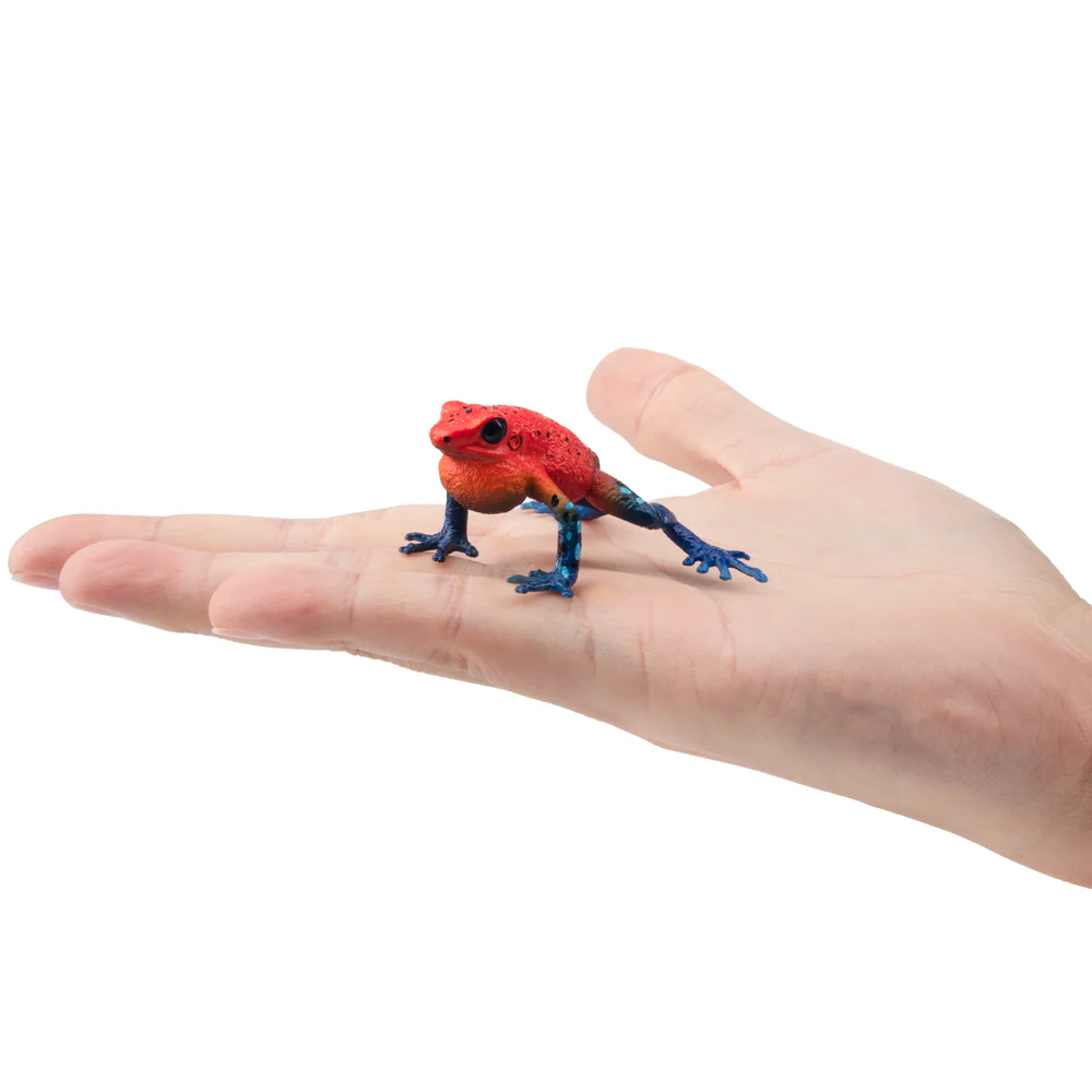 Toymany simulação morango sapo - Kids Toys Variety avaliação e preço