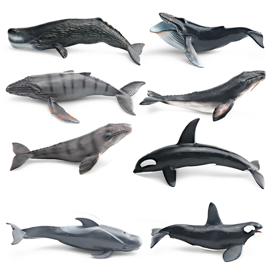 Modelos Realistas de Animais M - Kids Toys Under 100 avaliação e preço